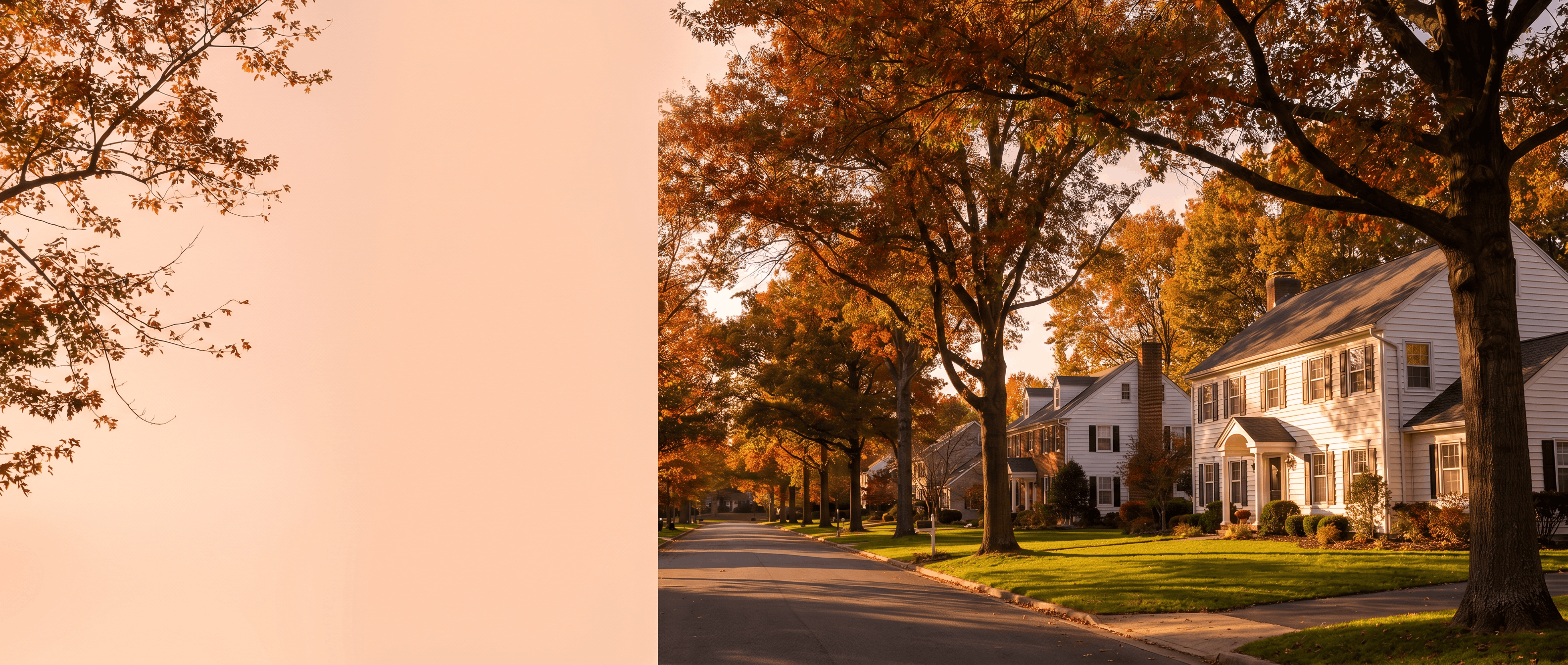 Long Island residential street at golden hour